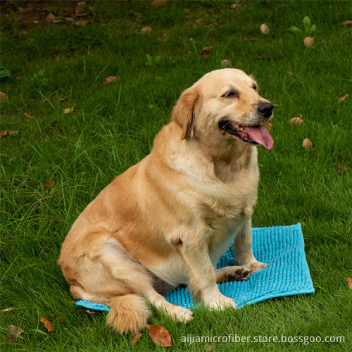 RTS Fast Dispatch Pet Bath Towel